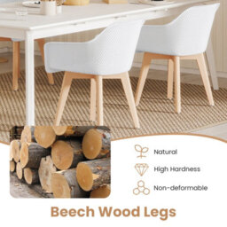 Gainoom Modern Plastic Dining Chairs Set Of 2 Kitchen Armchairs Indoor Accent Side Chairs - thumbnail 6