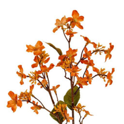 Wyld Haus Set Of 3 Orange Vernicia Fordii Artificial Flower Sprays, 630mm - thumbnail 2