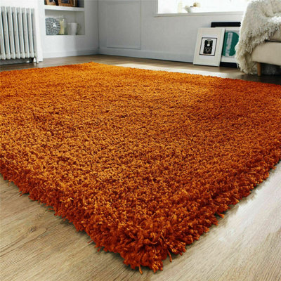 Prime Plus Extra Thick Heavy 5Cm Pile Soft Shaggy Rugs Modern Area Rugs Bedroom Hall Rugs (Terracota, 120 X 170Cm) - image 1
