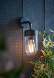 Anson Lighting Aron Outdoor Wall Light Finished In Textured Matt Black And Clear Glass - thumbnail 1