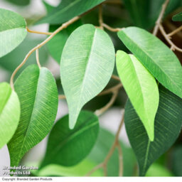 Garden Gear Artificial Ficus Tree 90Cm With Natural Wood Trunk, Silk Leaves, Indoor Outdoor Greenery Home Office Décor - thumbnail 4
