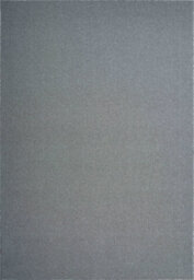 Simple Low Pile Modern Tufted Area Rugs For Living Room With Felt Backing Silver 60X110 Cm - thumbnail 6