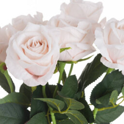 Hill Interiors Uk Homeliving Pink Cream Tea Rose - thumbnail 2