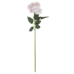 Hill Interiors Uk Homeliving Pink Cream Tea Rose - thumbnail 3