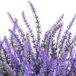 Amorly 32Pcs Purple Artificial Lavender Flowers Outdoor Uv Resistant Fake Flowers No Fade Faux Plastic Plants Window Box Decorating - thumbnail 2
