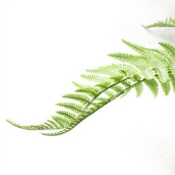 Leaf 6 X 60Cm Artificial Bushy Dixie Wood Fern Light Green Plant - thumbnail 3