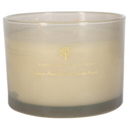 Nicola Spring Green Pomelo & Passion Fruit Scented Candle 350G 38H Natural Double Wick Soy Wax Aromatherapy Candle Home Fragrance