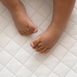 Clair De Lune Quilted Palm Moses Basket Mattress - thumbnail 2