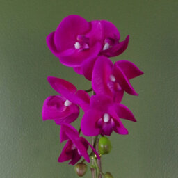 Leaf Artificial 46Cm Orchid Dark Pink / Gold - thumbnail 2