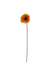 Soft Yellow Gerbera Stem Realistic Artificial Flower For Elegant Arrangements - thumbnail 2