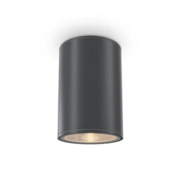 Luminosa Lighting Luminosa Bar Outdoor Surface Mounted Downlight Graphite 3000K 1300Lm Ip65