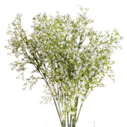 Hill Interiors Wildflower Spray Artificial Flower White/green (One Size) - thumbnail 1