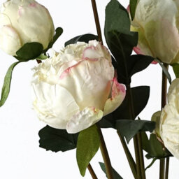 Leaf 55Cm Cream Peony Artificial Flowers Spray - 4 Flowers 3 Buds - thumbnail 3