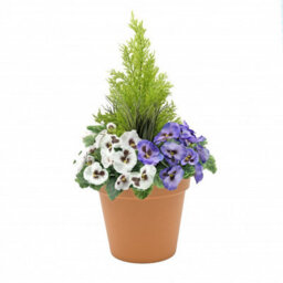 GreenBrokers Artificial Purple And White Faux Silk Pansies With Grasses/conifer Topiary In A Terracotta Coloured Pot Patio Planter 60Cm/23.5In