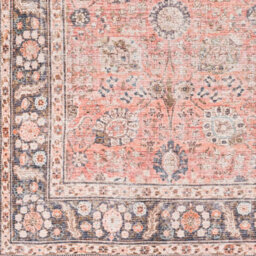 Livabliss Colin-Washable Brown Orange Grey Traditionnal Vintage Boho Living Dining Rug 80 X 220 Cm Easy Care, Non Shedding - thumbnail 7