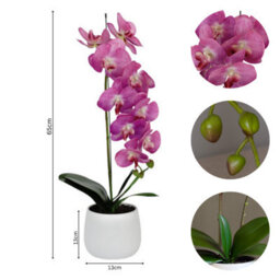 GreenBrokers Elegant Large Single Stem Purple Real Touch Artificial Potted Orchid (65Cm) In Round White Ceramic Pot - thumbnail 4