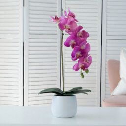GreenBrokers Elegant Large Single Stem Purple Real Touch Artificial Potted Orchid (65Cm) In Round White Ceramic Pot - thumbnail 2