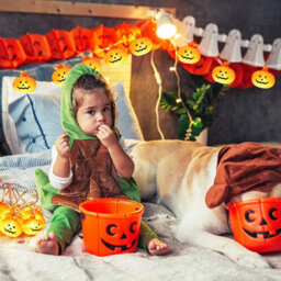 Halloween Pumpkin String Lights: 20 Led Battery-Operated For Indoor/outdoor Bedroom, Fireplace, Yard & Party Decor - thumbnail 2