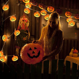 Halloween Pumpkin String Lights: 20 Led Battery-Operated For Indoor/outdoor Bedroom, Fireplace, Yard & Party Decor - thumbnail 5