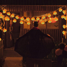 Halloween Pumpkin String Lights: 20 Led Battery-Operated For Indoor/outdoor Bedroom, Fireplace, Yard & Party Decor - thumbnail 4