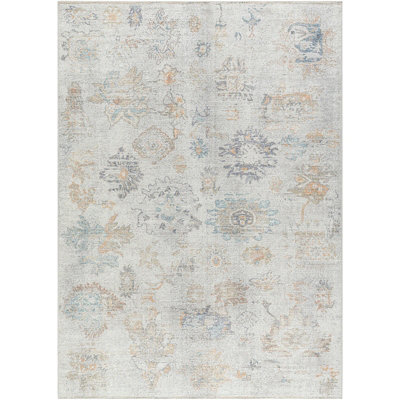 Livabliss Our Pnw Home Olympic-Vintage Beige Brown Blue Traditional Boho Living Dining Bedroom Rug 200 X 275 Cm Easy Care, Non Shedding - image 1