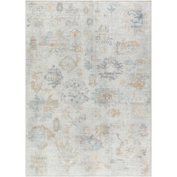 Livabliss Our Pnw Home Olympic-Vintage Beige Brown Blue Traditional Boho Living Dining Bedroom Rug 200 X 275 Cm Easy Care, Non Shedding - thumbnail 1