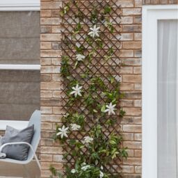 Blooma 2Ft Willow Trellis Panel (W)180Cm X (H)60Cm - thumbnail 4