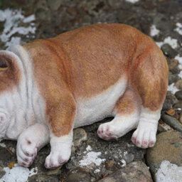 Sleeping Bulldog Puppy Resin Sculpture Home Garden Dog Statue Outdoor Ornament - thumbnail 3