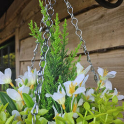 Best Artificial White Mini Daffodil Flower Display In 10 Inch Woven Decorative Hanging Basket - thumbnail 4