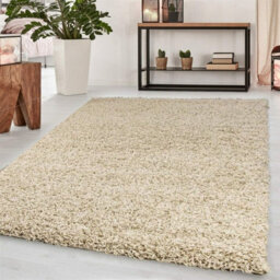 Abaseen 120X170 Cm Light Beige Shaggy Rug - Soft Touch Thick Pile Modern Rugs - Washable Area Rugs For Home And Office
