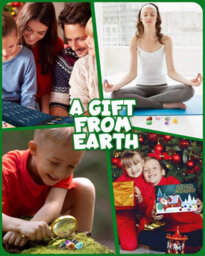 Mineral Gem Advent Calendar - 24 Days Countdown, Crystals, Children's Christmas Gift - thumbnail 4