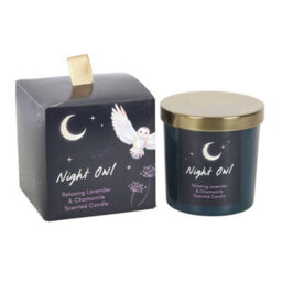 Something Different Night Owl Lavender & Chamomile Candle Blue (One Size) - thumbnail 3