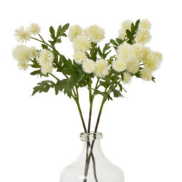 Wyld Haus Set Of 3 Cream Globe Thistle Artificial Flowers 560mm - thumbnail 3