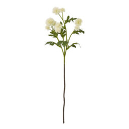 Wyld Haus Set Of 3 Cream Globe Thistle Artificial Flowers 560mm
