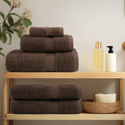 Berkfield Premium Sauna Towels Solund 10Pcs Brown 80X200Cm 600Gsm - thumbnail 3