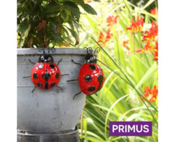 Garden Store Direct Primus Small Metal Ladybird Pot Hanger - thumbnail 2