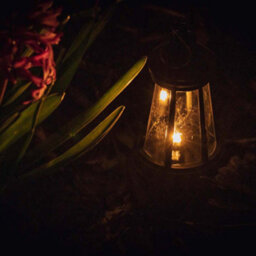 Valuelights Solar Black Outdoor Lantern - thumbnail 3