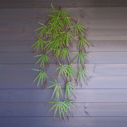 Leaf Pack Of 12 X 100Cm Artificial Hanging Acer Plant - thumbnail 2
