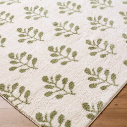 Livabliss Tivoli-Washable Cream Green Modern High Pile Living Dining Bedroom Rug 160 X 213 Cm Easy Care, Non Shedding - thumbnail 6