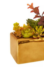 Premier Housewares Mixed Succulents Fiori With Ceramic Gold Pot Artificial Plant Foliage - thumbnail 5