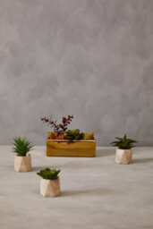 Premier Housewares Mixed Succulents Fiori With Ceramic Gold Pot Artificial Plant Foliage - thumbnail 3