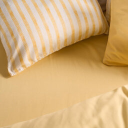 Ohs Ultra Soft Microfibre Plain Fitted Bed Sheet, Lemon - King - thumbnail 2