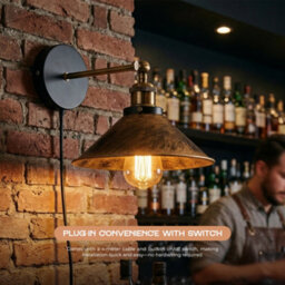 Industrial Wall Light Industrial Brushed Copper Plug-In Wall Light - thumbnail 3