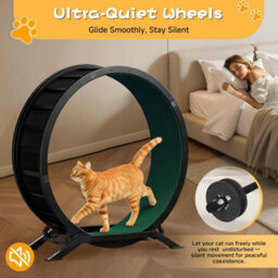 Gtplayer Cat Wheel 90 Cm Metal Large Cats Exercise Running Wheel For Indoor Cats With Teaser Removable Carpet Cat Treadmill, Green - thumbnail 8
