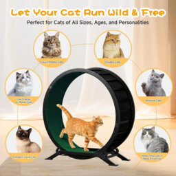 Gtplayer Cat Wheel 90 Cm Metal Large Cats Exercise Running Wheel For Indoor Cats With Teaser Removable Carpet Cat Treadmill, Green - thumbnail 7