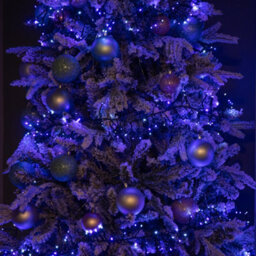 Samuel Alexander 18.5M 1440 Led Christmas Cluster Multi-Action String Lights With Timer In Blue, Purple & White - thumbnail 8