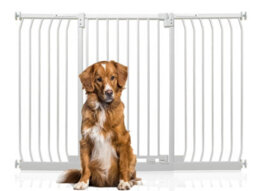 Bettacare Extra Tall Elite Dog Gate, 152Cm - 161Cm, Matt White, Extra Tall 96.8Cm In Height, Pressure Fit Pet Gate - thumbnail 1