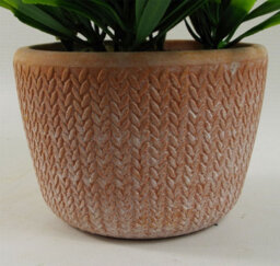 Leaf 22Cm Foliage Honey Plant Light Green In Terracotta Pot - thumbnail 4