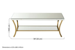 Orsina Functional Silver Coffee Table, Stylish Display Coffee Table, Durable And Elegant Decorative Coffee Table - thumbnail 6