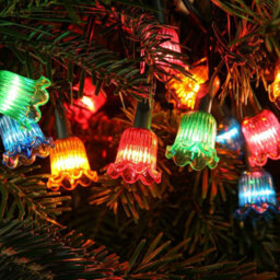 Festive 50 Multi Colour Petal Christmas String Lights Indoor / Outdoor Battery Operated - thumbnail 2